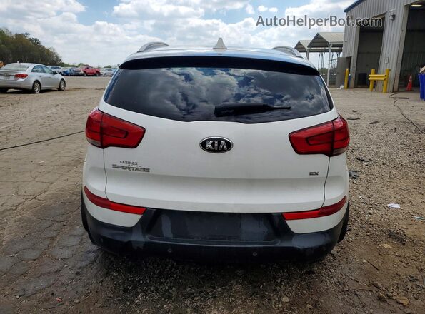 KNDPC3AC3G7862629 2016 KIA SPORTAGE Белый Вид сзади