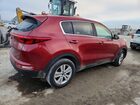 2019 Kia Sportage Lx Красный vin: KNDPM3AC0K7493802