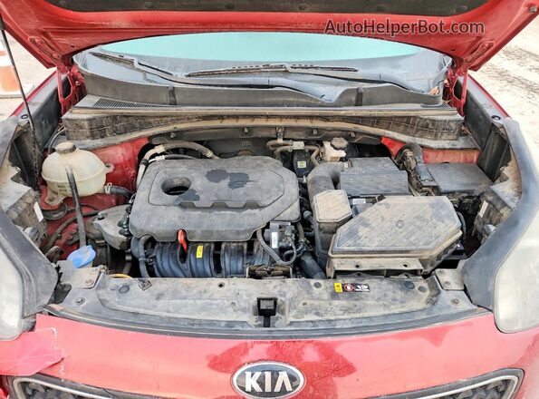 KNDPM3AC0K7493802 2019 KIA SPORTAGE Красный Вид задней части салона