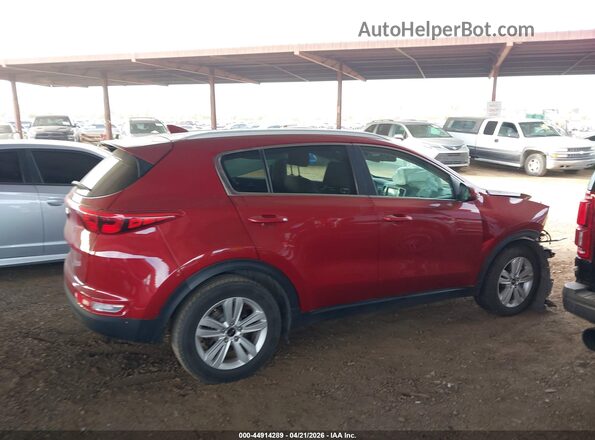 KNDPM3AC1J7477817 2018 KIA SPORTAGE Красный Вид задней части салона