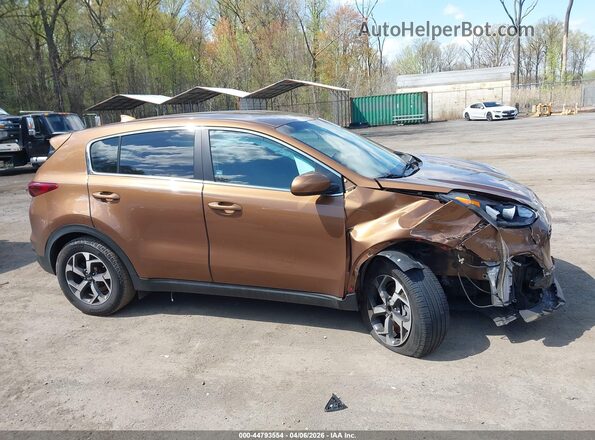 KNDPM3AC2M7921906 2021 KIA SPORTAGE Коричневый Вид задней части салона