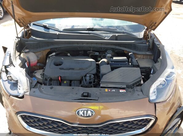 KNDPM3AC2M7921906 2021 KIA SPORTAGE Коричневый Вид сзади