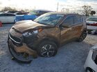 2021 Kia Sportage Lx Maroon vin: KNDPM3AC3M7884994
