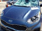 2020 Kia Sportage Lx Dark Blue vin: KNDPM3AC4L7799192