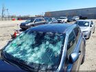 2020 Kia Sportage Lx Dark Blue vin: KNDPM3AC4L7799192