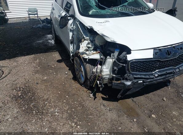 KNDPMCACXH7081024 2017 KIA SPORTAGE White წინა ხედი