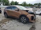 2020 Kia Sportage Lx Коричневый vin: KNDPMCACXL7789539