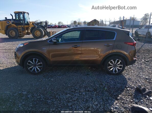 KNDPNCAC7H7187301 2017 KIA SPORTAGE Brown 