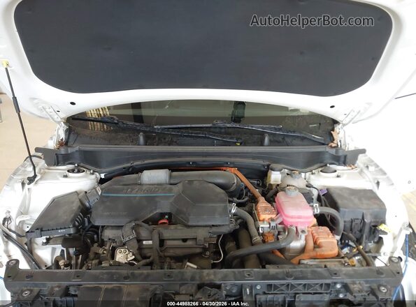 KNDPVCAG3P7040913 2023 KIA SPORTAGE HYBRID White Widok z tyłu