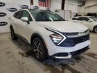 2024 Kia Sportage Hybrid Ex White vin: KNDPVCDG1R7135274 2024 Kia Sportage Hybrid Ex White vin: KNDPVCDG1R7135274