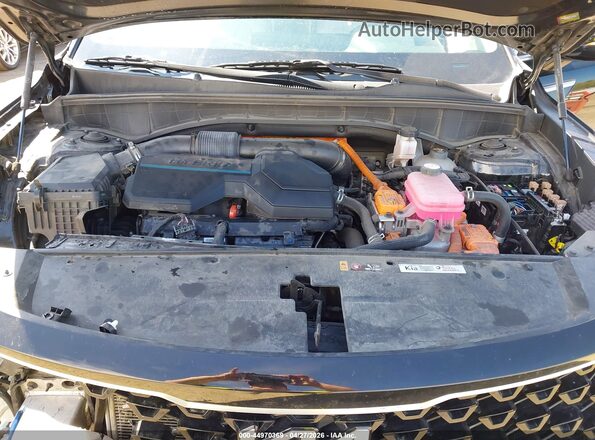 KNDRHDLGXP5175790 2023 KIA SORENTO HYBRID Black Widok z tyłu