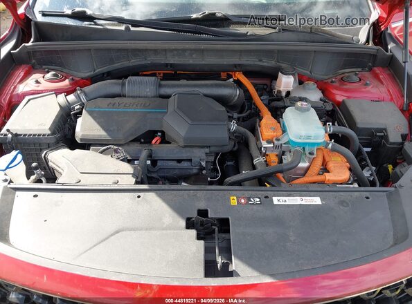 KNDRMDLH5N5123260 2022 KIA SORENTO PLUG-IN HYBRID Красный Вид сзади