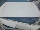 2021 Polestar 2 White vin: LPSED3KA0ML009439
