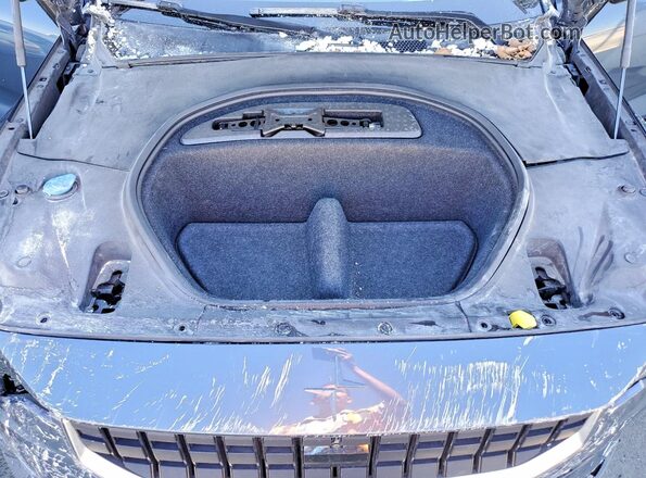 LPSED3KAXML017239 2021 POLESTAR 2 Blue Rear interior view