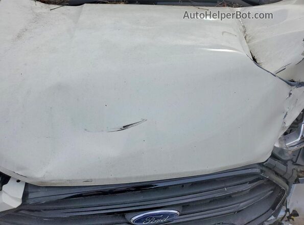 MAJ3S2FE7LC385264 2020 FORD ECOSPORT White Շարժիչի բաժամունքի տեսք