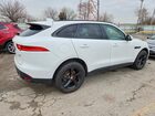 2019 Jaguar F-pace Premium White vin: SADCJ2FX0KA366701