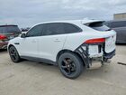 2019 Jaguar F-pace Premium White vin: SADCJ2FX1KA616558