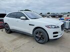 2019 Jaguar F-pace Premium White vin: SADCJ2FX1KA616558
