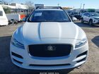 2019 Jaguar F-pace 25t Prestige/30t Prestige Белый vin: SADCK2GX1KA360918