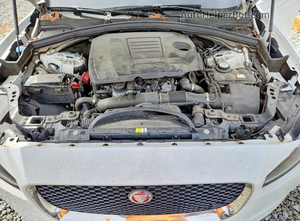 SADCK2GX1KA609136 2019 JAGUAR F-PACE White Widok wnętrza z tyłu