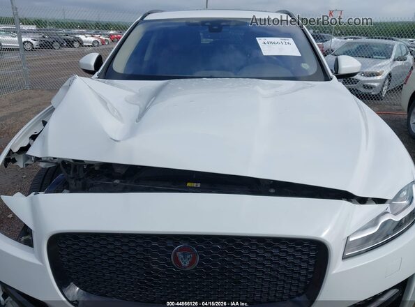 SADCL2FX0KA392306 2019 JAGUAR F-PACE Белый Вид сзади