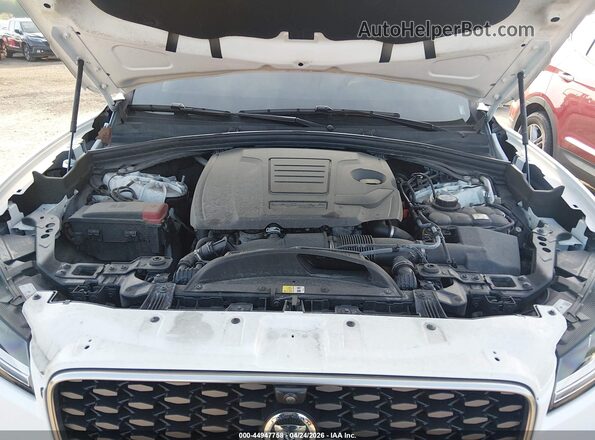 SADCT2EX5RA731248 2024 JAGUAR F-PACE White Widok z tyłu