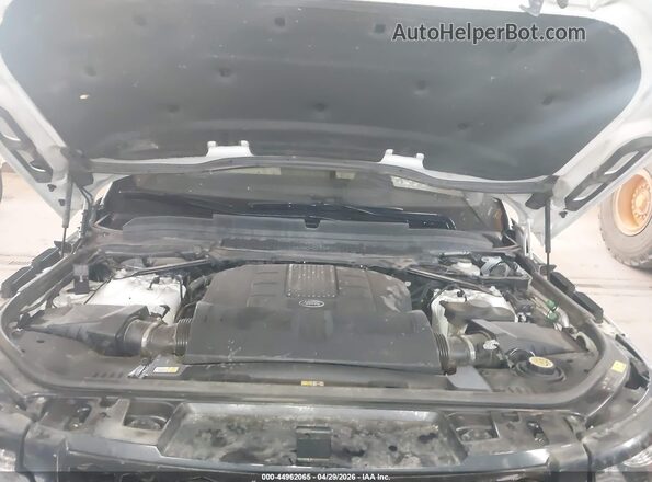 SALWR2EF6GA595166 2016 LAND ROVER RANGE ROVER SPORT White Вид ззаду