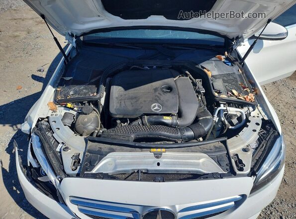 W1KWF8EB3LR572705 2020 MERCEDES-BENZ C White Սալոնի հետևի տեսք