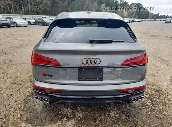 WA124AFY7R2149131 2024 AUDI SQ5 Серый Вид сзади