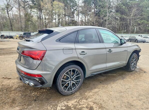 WA124AFY7R2149131 2024 AUDI SQ5 Серый Задняя правая четверть