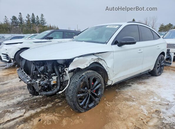 WA134AFY9P2147642 2023 AUDI SQ5 White Przód lewy