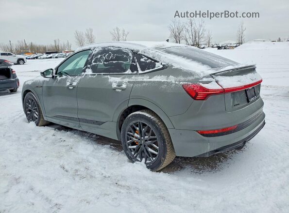 WA13AAGE1PB007310 2023 AUDI E-TRON Серый Задняя левая четверть