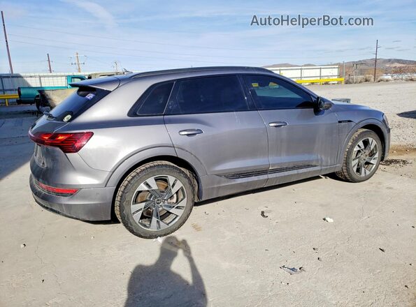 WA1AAAGE3NB013985 2022 AUDI E-TRON Gray Trasero derecho