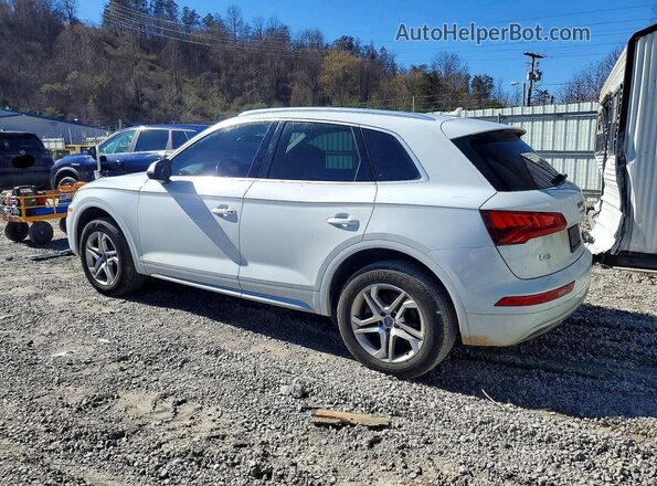 WA1ANAFY5K2113808 2019 AUDI Q5 Белый Задняя левая четверть