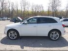 2016 Audi Sq5 3.0t Premium Plus White vin: WA1CCAFP0GA102752
