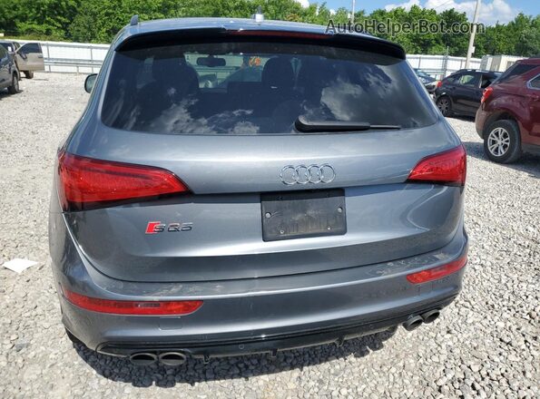 WA1CCAFP5HA047054 2017 AUDI SQ5 Gray უკანა ხედი