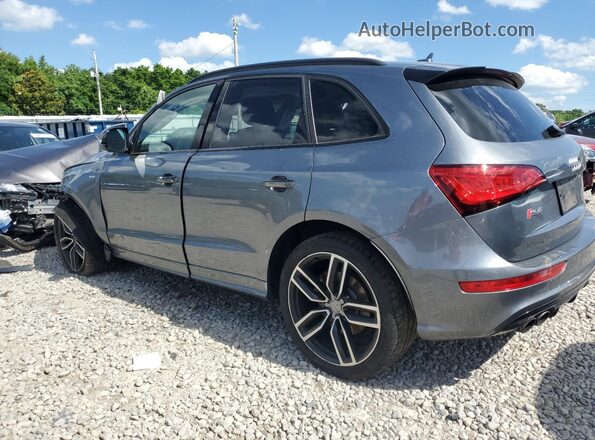 WA1CCAFP5HA047054 2017 AUDI SQ5 Gray უკანა მარცხენა
