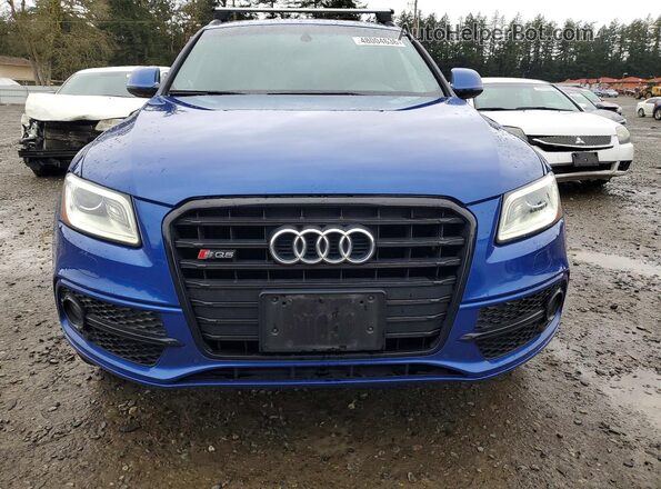 WA1CCAFP9GA064437 2016 AUDI SQ5 Синий Вид спереди