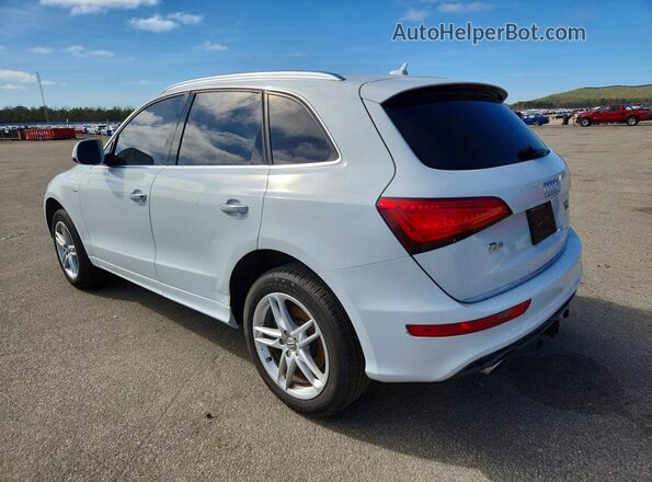 WA1D7AFP6HA071517 2017 AUDI Q5 White Tył lewy