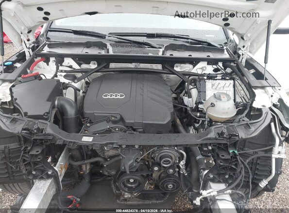 WA1EAAFY2P2054477 2023 AUDI Q5 Белый Вид сзади