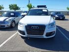2016 Audi Q5 2.0t Premium White vin: WA1L2AFP2GA145203