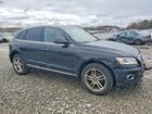 2017 Audi Q5 Premium Plus Black vin: WA1L2AFP7HA013717