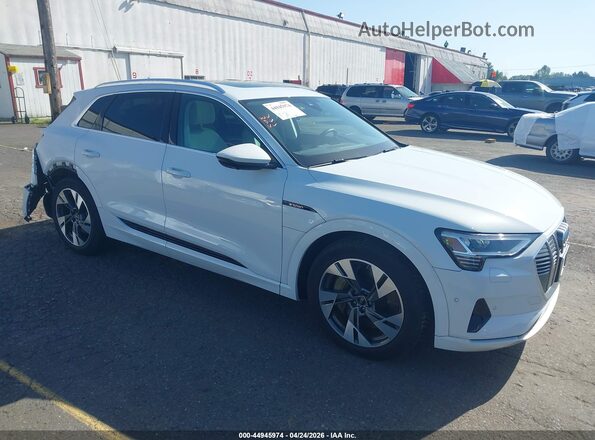 WA1LABGE1PB024467 2023 AUDI E-TRON White Delantero derecho