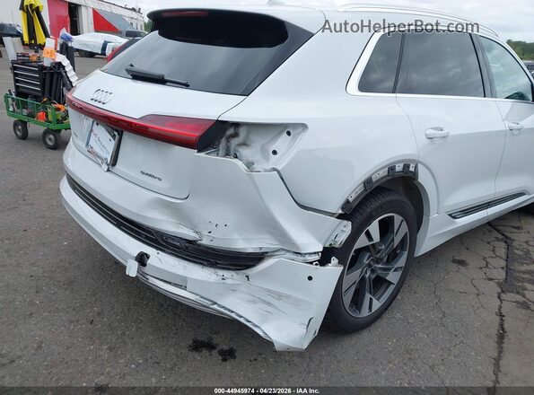 WA1LABGE1PB024467 2023 AUDI E-TRON White Vista frontal