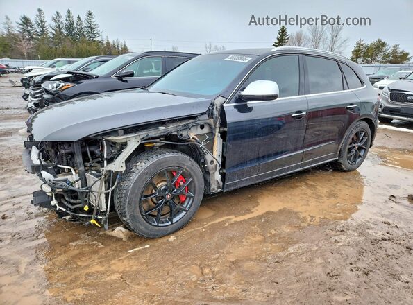 WA1LCAFP1GA108950 2016 AUDI SQ5 Black Vista tres cuartos delantera izquierda