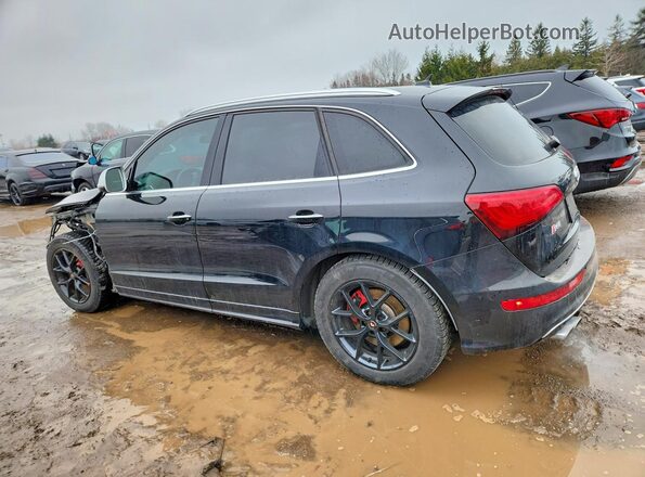 WA1LCAFP1GA108950 2016 AUDI SQ5 Black Trasero izquierdo
