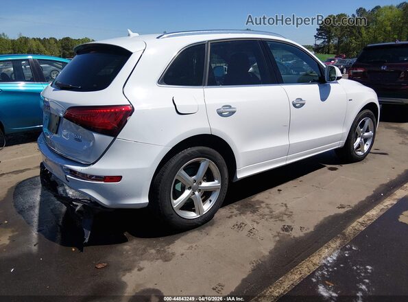 WA1M2AFP4HA090503 2017 AUDI Q5 White Հետևի աջ