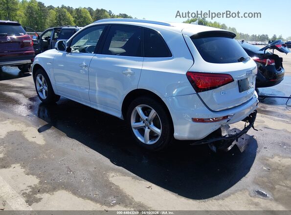 WA1M2AFP4HA090503 2017 AUDI Q5 White Հետևի ձախ