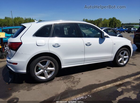 WA1M2AFP4HA090503 2017 AUDI Q5 White Սալոնի հետևի տեսք
