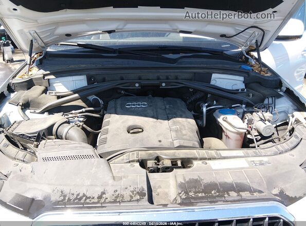 WA1M2AFP4HA090503 2017 AUDI Q5 White Հետևի տեսք